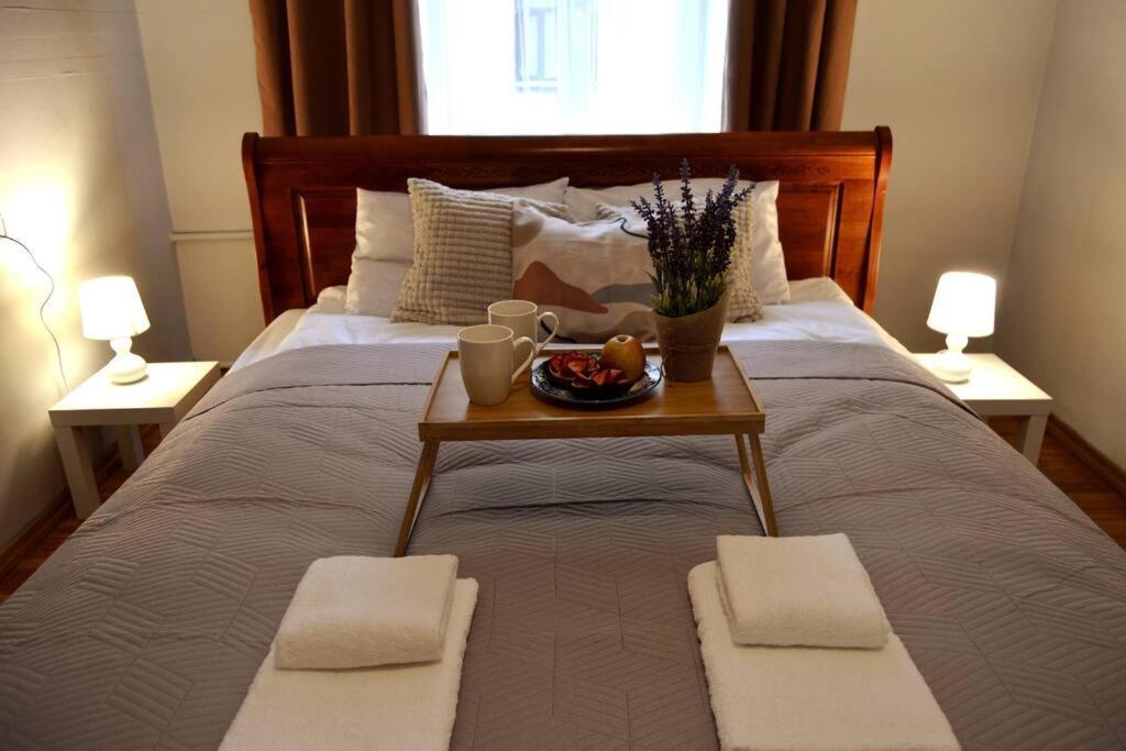 Unique Spacious Classic 3 Bedroom Midtown Apartment ! Billiard Room ! Riga Dış mekan fotoğraf